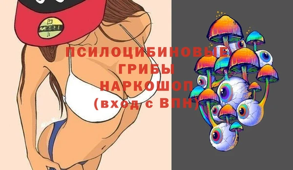 винт Верея